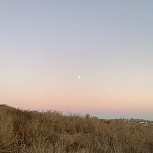 Meet your Posher, Maya